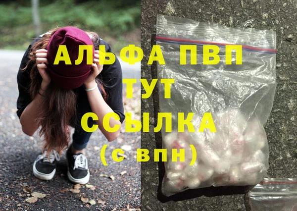 шишки Володарск