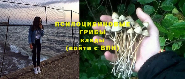 амф Волосово