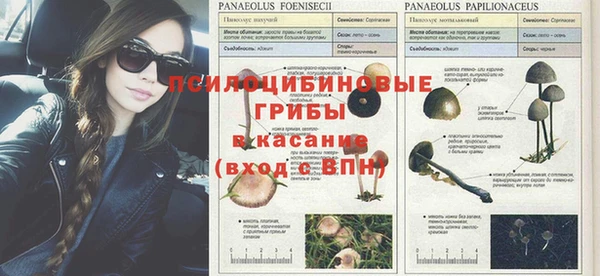 шишки Володарск